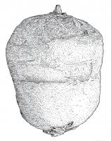 CUB-4105 - Curseur de balanceplombCurseur en plomb, avec une attache généralement en bronze; en forme de gland, les deux parties pouvant être très peu marquées, voire invisibles et évetuellement mises en évidence par un revêtement externe (tôle de bronze ou de fer, souvent disparue).